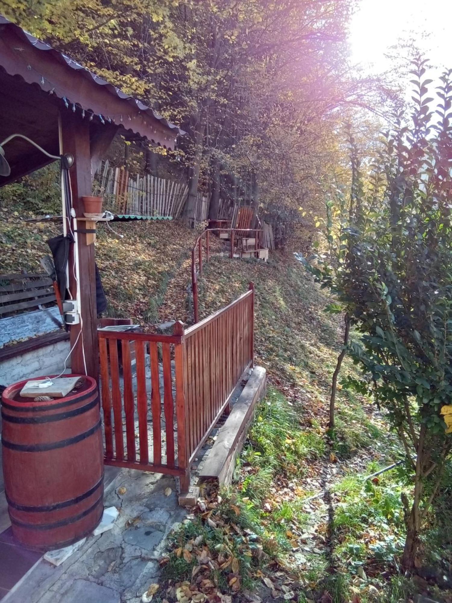 Casa Ozon Hotel Vulcan  Exterior foto